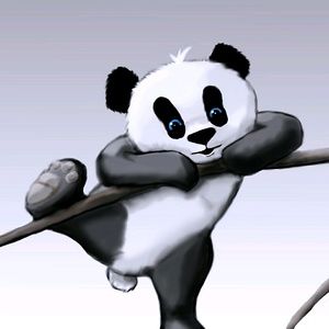 Meet your Posher, Bernard